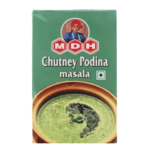 mdh-100g-chutney-masala-podina